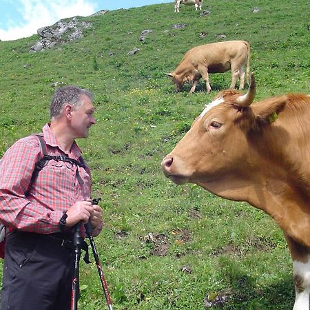 Gausrab Villa Hinterstoder Dış mekan fotoğraf