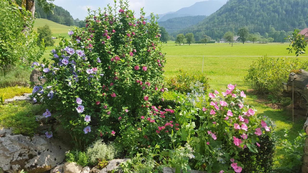 Gausrab Villa Hinterstoder Dış mekan fotoğraf