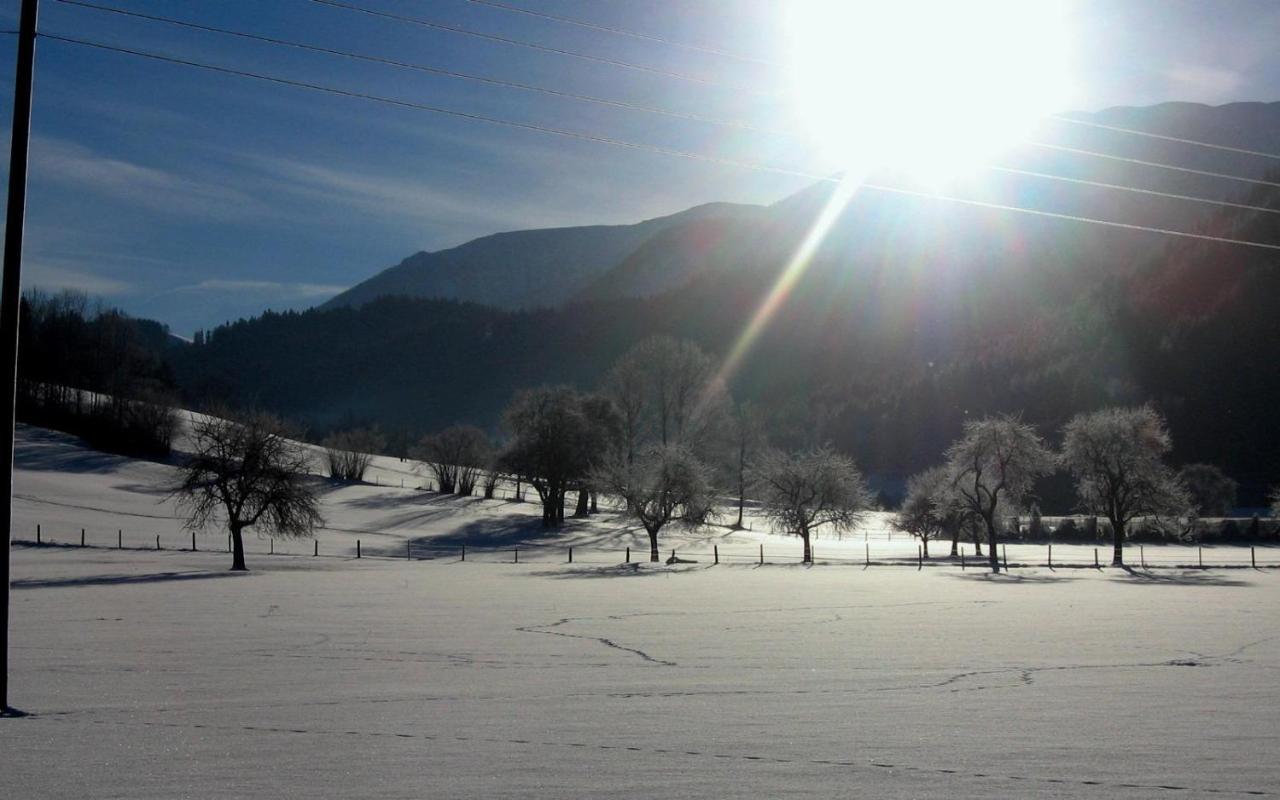 Gausrab Villa Hinterstoder Dış mekan fotoğraf
