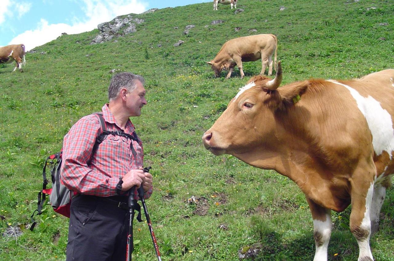 Gausrab Villa Hinterstoder Dış mekan fotoğraf