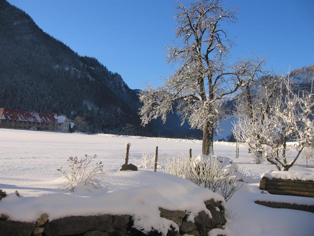 Gausrab Villa Hinterstoder Dış mekan fotoğraf
