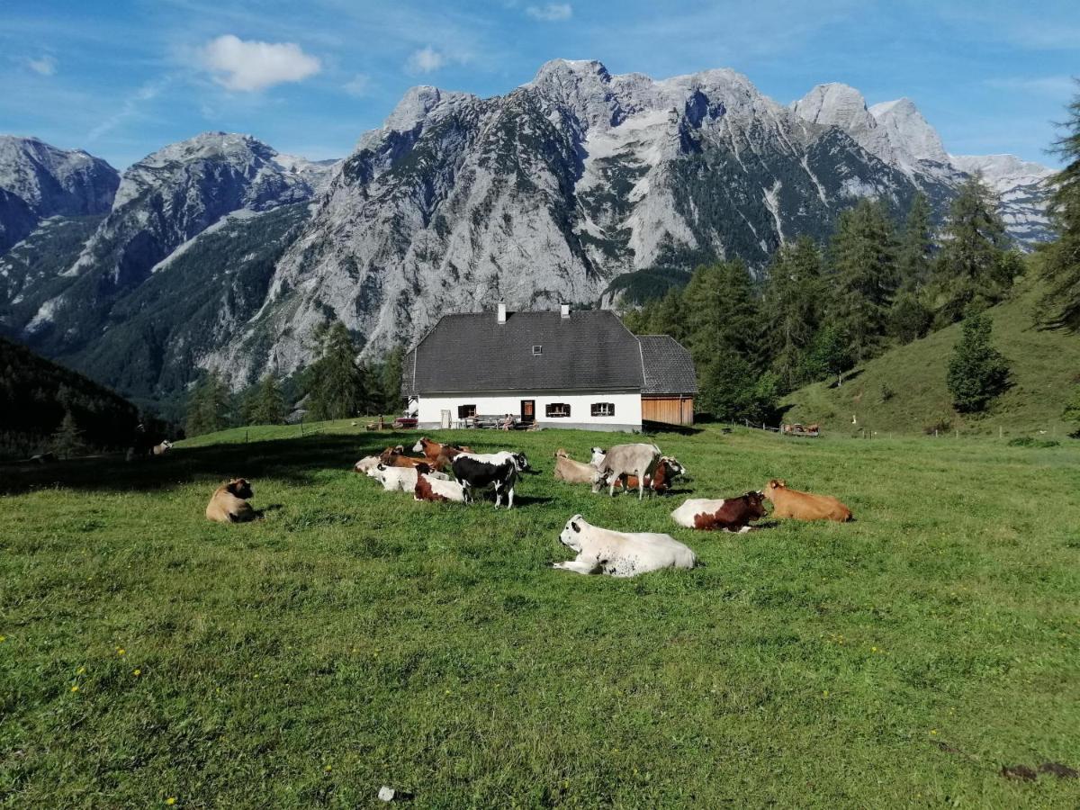 Gausrab Villa Hinterstoder Dış mekan fotoğraf